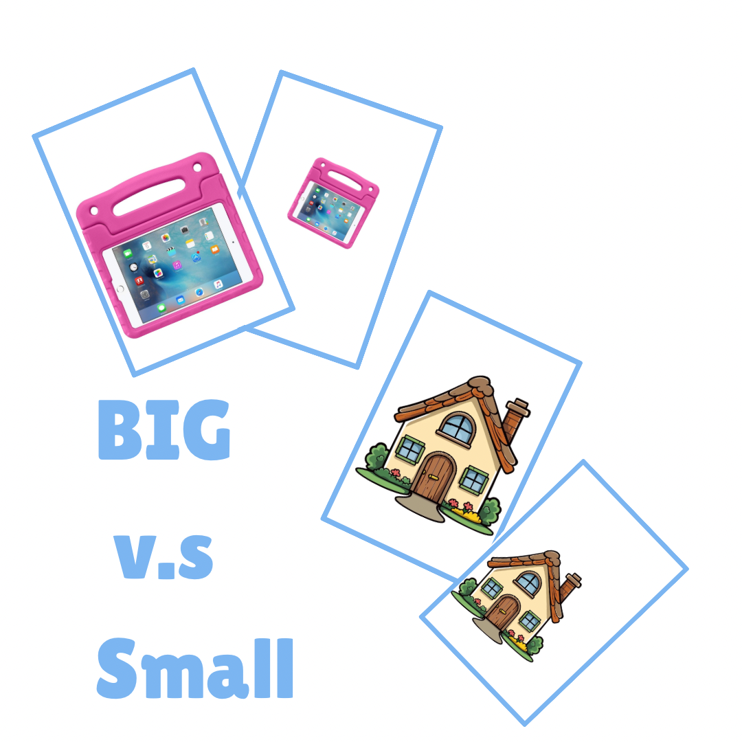 Bundle ( discrimination version )