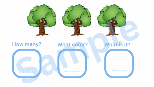 Quantity , color , item