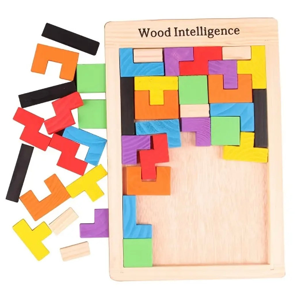 Wooden intelligence Toy