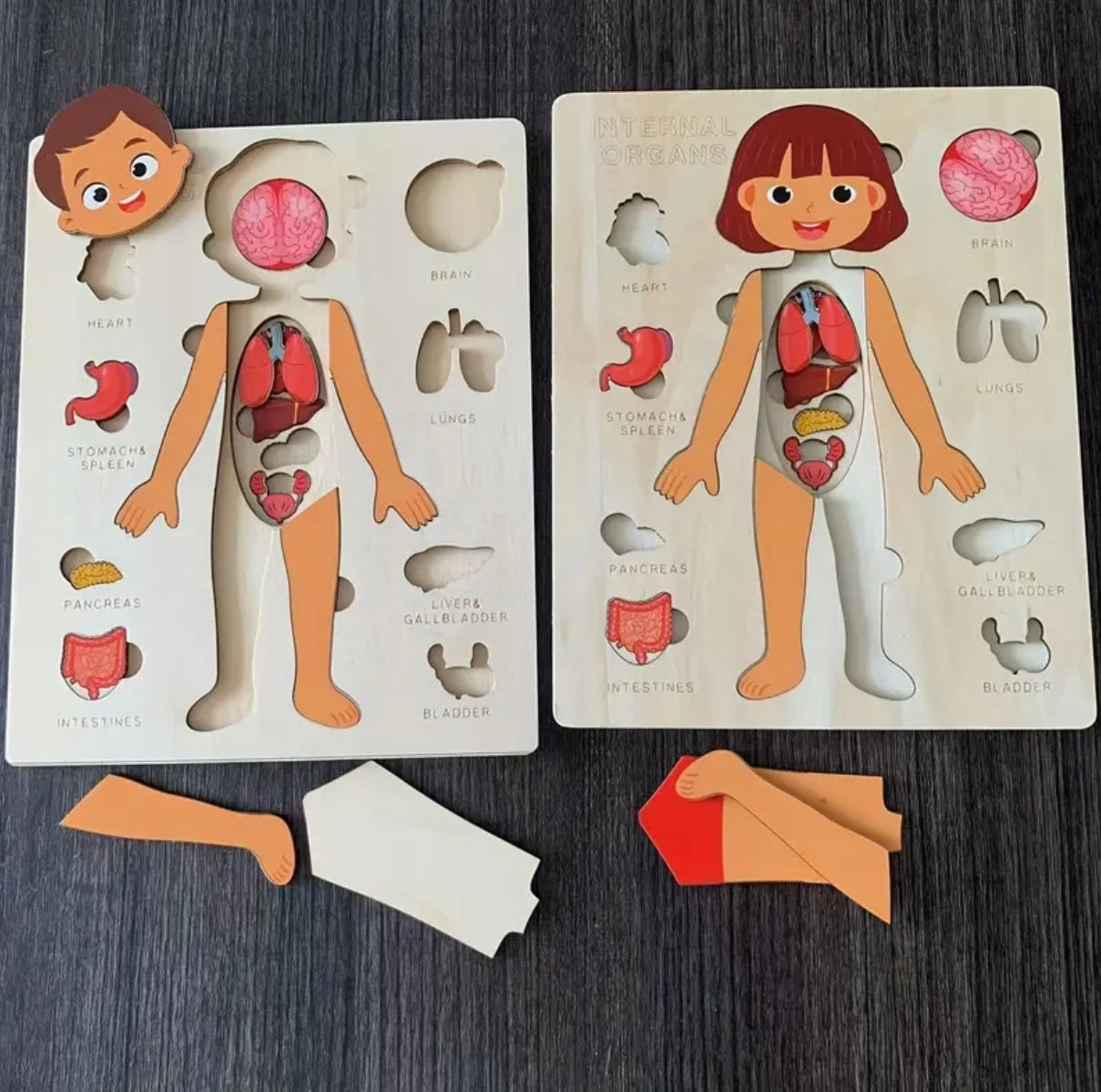 1 Wooden Human Body Puzzle